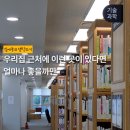 도청대로(북) | 예천 여행 가볼만한 곳? 경북도서관 | 코엑스 별마당 도서관 저리가라임