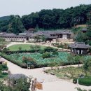 꽃길 이미지