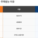 비앤아이(B&I) 이미지