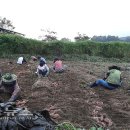 송곡2리 이미지