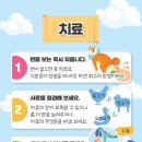 치유동물병원 이미지