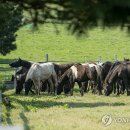 국립축산과학원 난지축산연구소 이미지