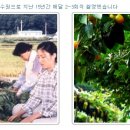 그린토피아 이미지