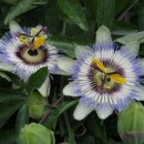 주식회사하얀 이미지