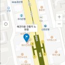 애견미용 견출지 노원점 이미지