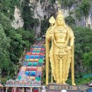 반딧불민박 | ★쿠알라룸푸르★*프리미엄 반블티투어 (반딧불+블루티어스) * 투어말레이시아 한인가이드 +1억원 사고...