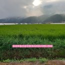 삼삼공인중개사사무소 이미지