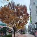 공지산 둘레길 | 사총사 무선산 공지간 둘레길을 걷다