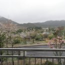 락원사우나 티스토리