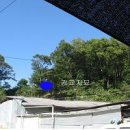 산67번지 이미지