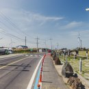 푸른신창 이미지