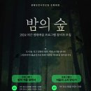 ＜생태예술 프로그램＞ '밤의 숲' 참가자 모집 이미지