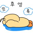 밸리츄러스 이미지