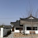 배동스테이 이미지