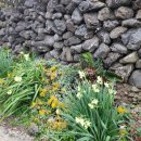 하천리-4 이미지