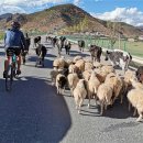 쟈스민여관 이미지