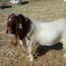 상표농장 이미지