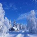 장미공원길 이미지