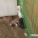 이성찬농장 이미지