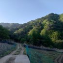 솔가펜션 이미지