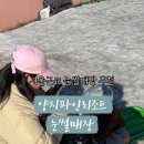 양지놀이터 이미지