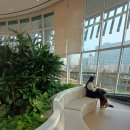 광교푸른숲도서관 | 핫한 경기도서관 스타벅스 광교sk뷰레이크41F 광교푸른숲도서관