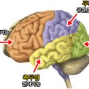 이티앤짐 이미지