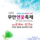 회산백련지 잔디광장 | [무안여행] 드넓은 연꽃 습지가 장관을 이루는 회산백련지 백련의 향연 무안연꽃축제