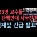 123명 교수들, 尹 탄핵반대 시국선언...정교모 6300명 교수 이어 전국 각지 교수 헌재 앞에서 전격 발표 성창경TV 이미지