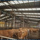 안성땅공인중개사사무소 이미지