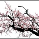 낭만PC방 이미지