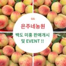 은주미가