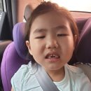 도레미키즈치과의원 이미지