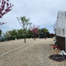산바다캠핑장 이미지