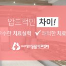 24시 대전동물의료센터 이미지