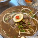 [속초 맛집] 청초호 엑스포타워 근처 쌀국수 매자식당 2호점, 매자쌀국수