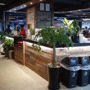 참당구장 이미지