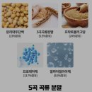 다온바이오 | [ 다이어트 홍국 ] 다온바이오 홍자임 섭취후기 : 콜레스테롤 소화효소 효소식품