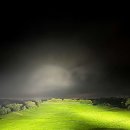 라온 골프연습장 이미지