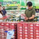 농협유통하나로마트 핀포인트뉴스