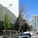 강남탑공인중개사사무소 이미지