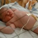 슈퍼베이비 이미지