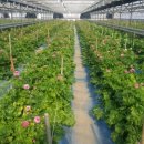 홍성농장 이미지