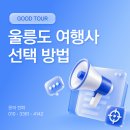 🚢 울릉도 여행사 추천, 초보 여행자를 위한 맞춤형 정보 🚢