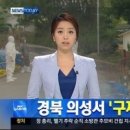 돼지나라돼지한마리 이미지