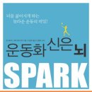 운무체육관 이미지