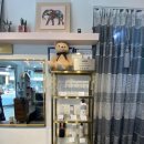 비비드헤어 이미지