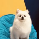 올리스(위례) 이미지