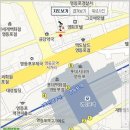영등백화점약국 Daum카페