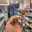 행복수족관 이미지